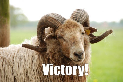 Punctuationless Press Release: The Ram